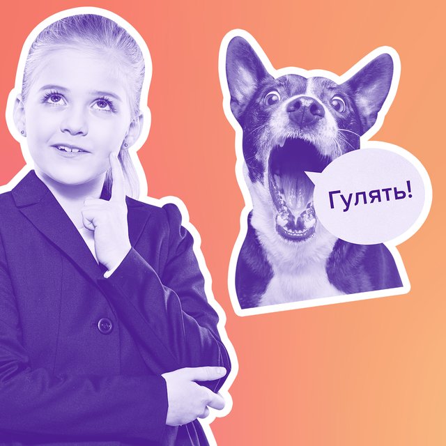 Убаюкивающий диван или переводчик для собак: какой бизнес могли бы создать вы или ваш ребенок