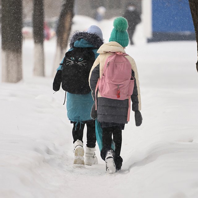 В заявлении на свободный выход из школы родители не указали домашний адрес. Что делать учителю?