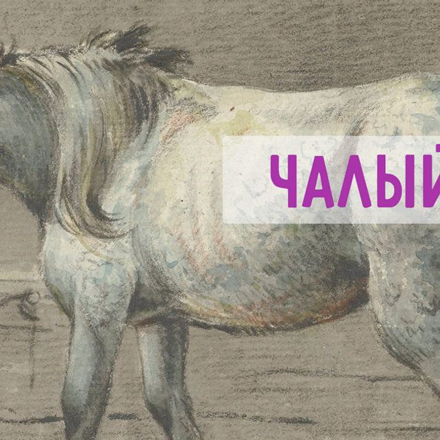 «Чалый» — это какой? Подсказка: речь идёт о цвете!