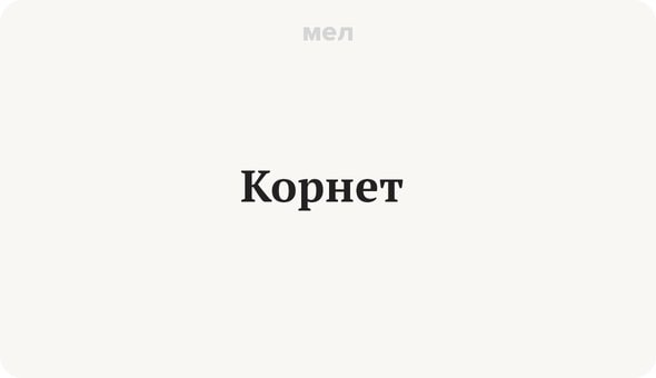 10 непонятных слов из повести Пушкина «Метель», Корнет