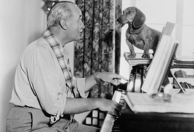 «А у вас… в музыкалке… взрослых учат?» Зачем садиться за фортепиано в 40 лет