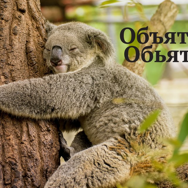 «Об_ять необ_ятное». Тест: какой тут нужен знак — твёрдый или мягкий