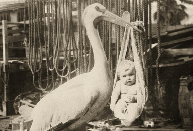 8 старинных слов о беременности и родах: что такое «опростаться», где находится чрево и другие загадки