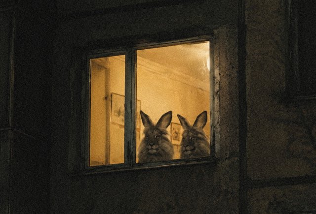 тренд