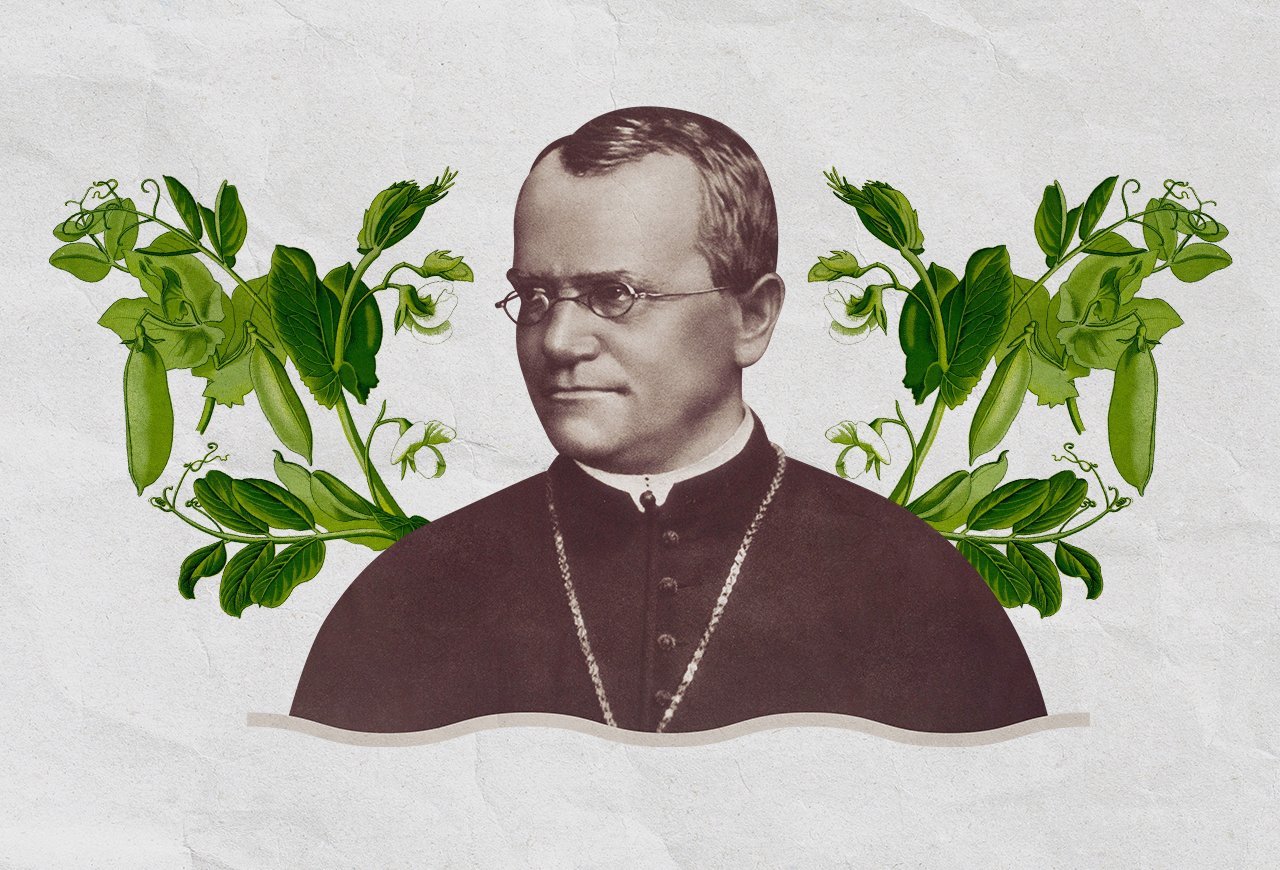 Грегор мендель в детстве. Георг мендель. Грегор мендель у руля монастыря. Мендель ученый. ).