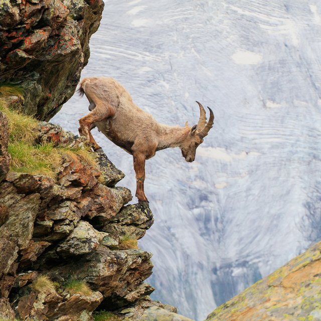 5 новых документалок 2020 года. Про Африку, Китай, ночь на Земле, мультфильмы и конец материи