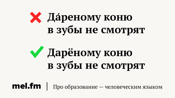 Дареному коню в зубы не смотрят