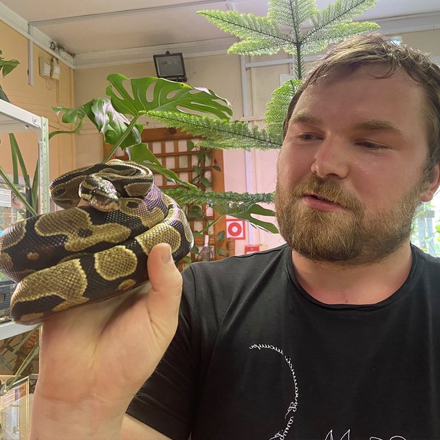 «Твари Фёдора». Как биолог создал «живой уголок» на станции юннатов — в нём почти 200 живых существ