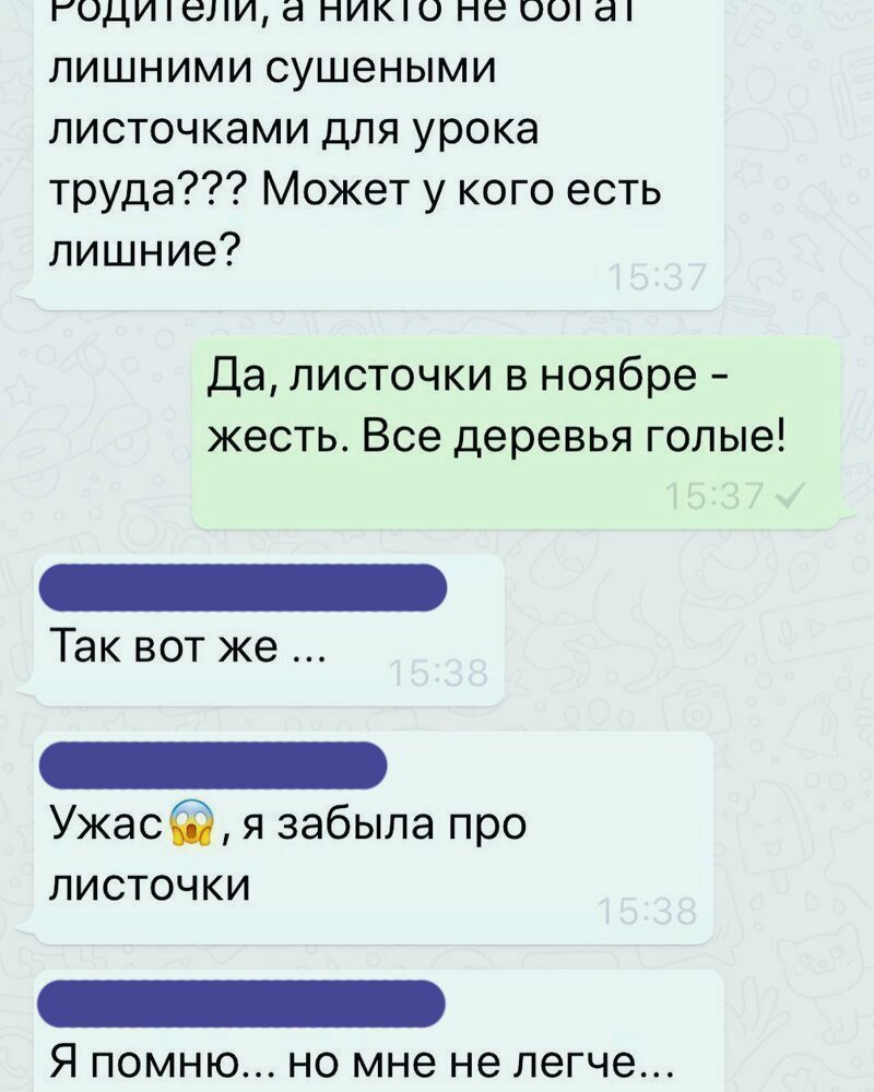 голые  родители Что творится в родительских чатах? Жмых пожилой, красные трусики и  папа-остряк | Мел