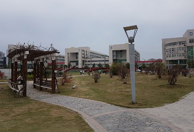 12 часов в неделю, высокая зарплата и уважение: как русская учительница работает в Китае