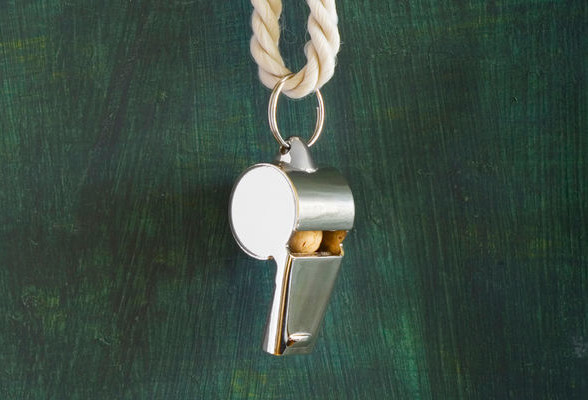 «Когда Елену Борисовну хотели уволить по возрасту, она сделала сальто»