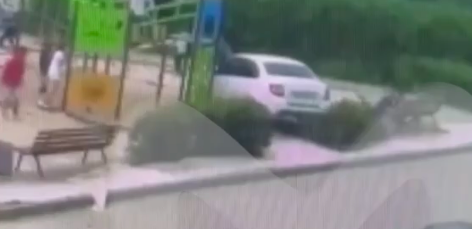 кадр с места происшествия