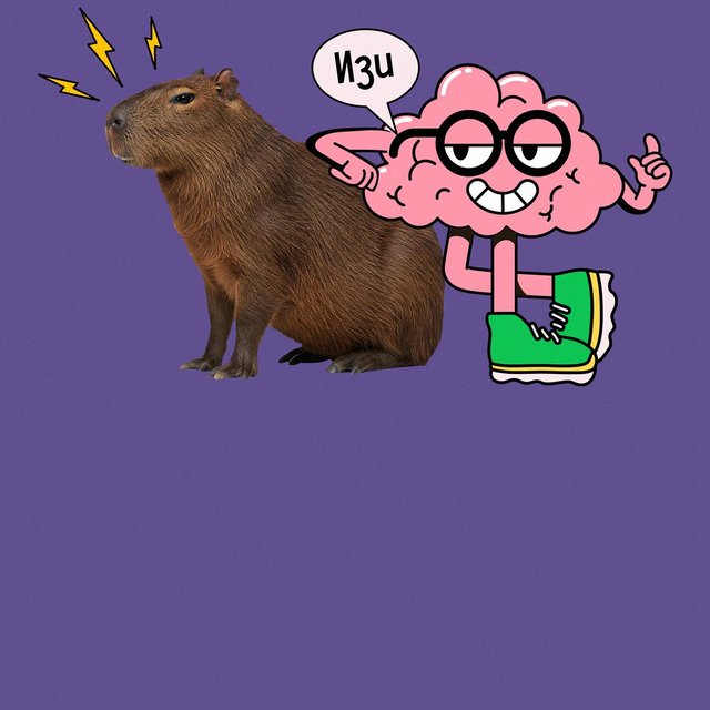 Вы правда эрудит или прикидываетесь? 6 тестов, которые это проверят