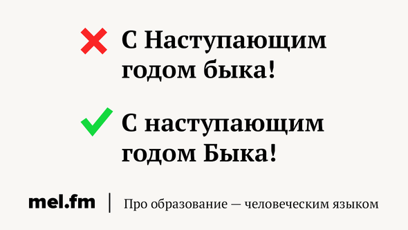 С Наступающим годом быка!