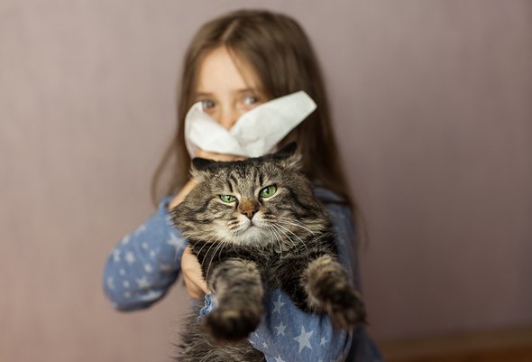 Если в семье все аллергики, то и у ребенка проявится аллергия?