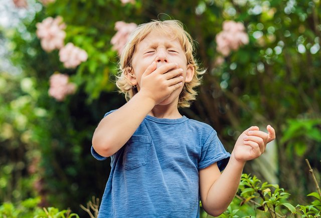 «Сахар — не аллерген». Педиатр — о пищевой аллергии, поллинозе и атопическом дерматите