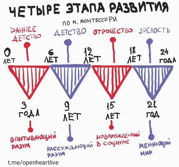 Этапы развития ребенка по Монтессори