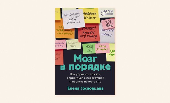 Елена Сосновцева. Книга «Мозг в порядке. Как улучшить память, справиться с перегрузкой и вернуть ясность ума». Издательство «Альпина Паблишер»