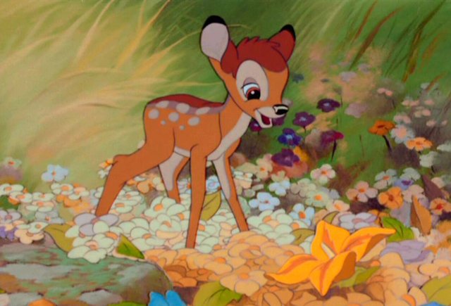 «В книге гораздо больше смертей». Каким был Бэмби до Диснея и что происходит с ним сейчас