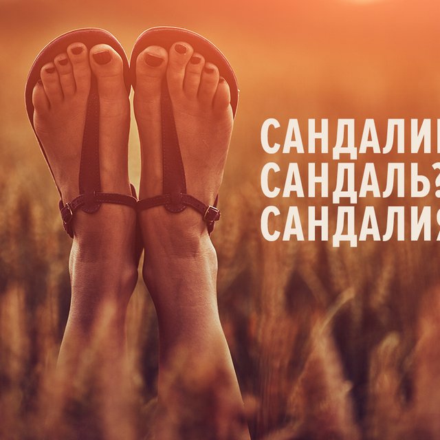 Как правильно: «сандалий», «сандаль» или «сандалия»