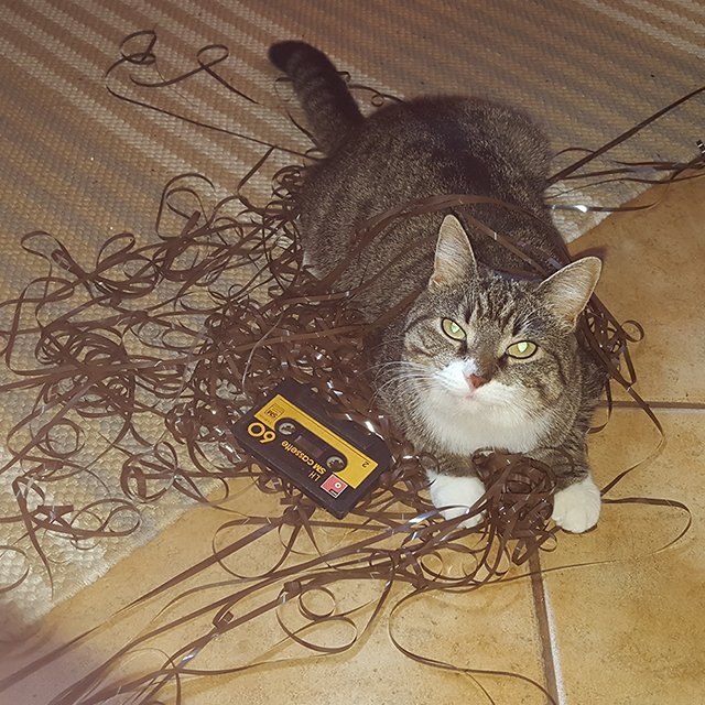 Смерть тамагочи и коллекция аудиокассет: 19 вещей, которые точно не поймут современные подростки