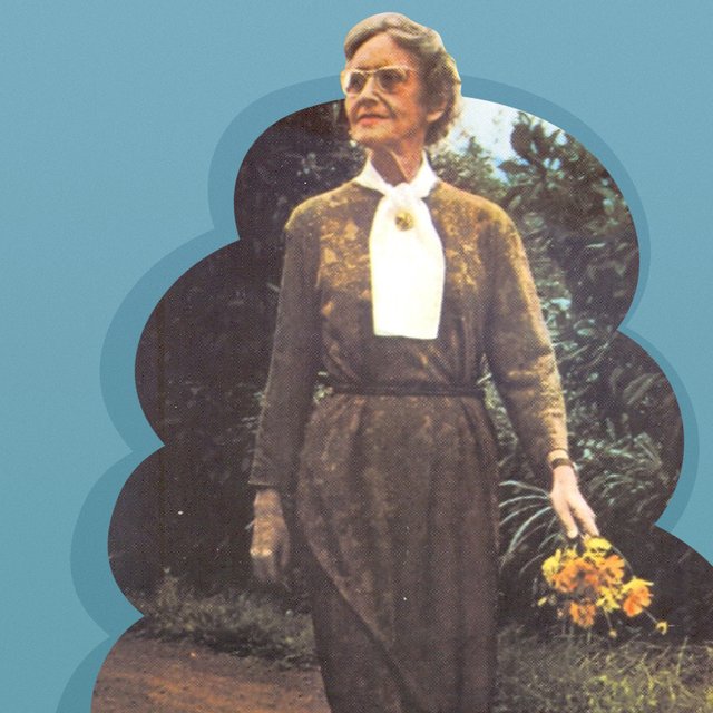 Она стала национальным достоянием Бразилии: история советского педагога Елены Антиповой