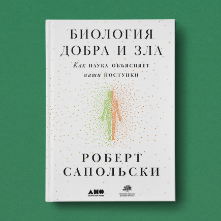 Почему подростки любят рисковать и так сильно влияют друга на друга