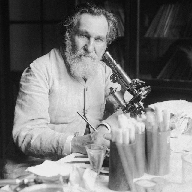 Холера, йогурт и Нобелевская премия: жизнь и судьба великого Ильи Мечникова