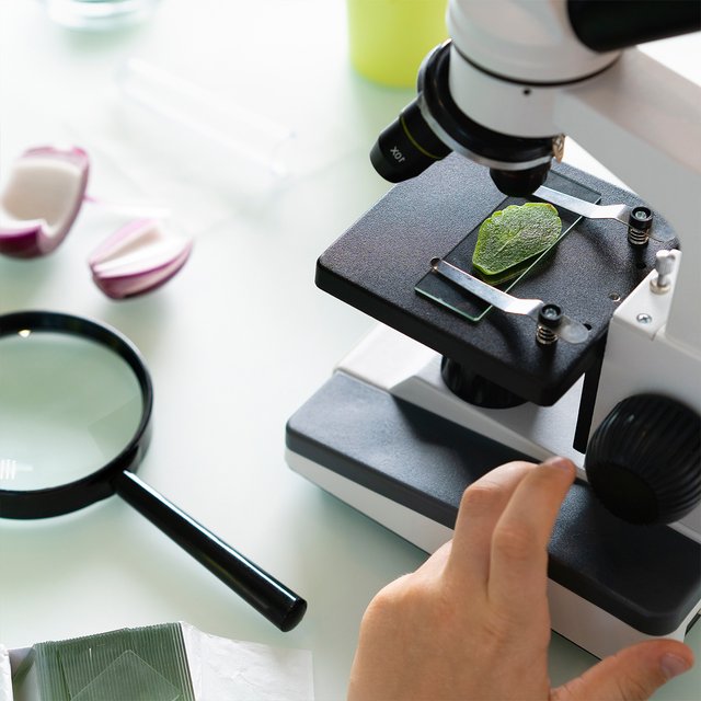 «Говорят, чтобы победить, нужно прочитать один учебник». Как наши школьники выиграли главную олимпиаду по биологии