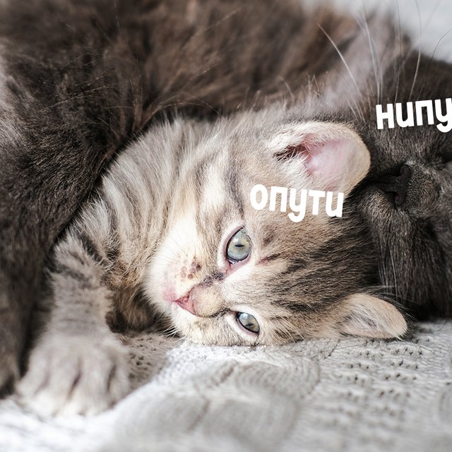 Переживаю, что дочь не хочет со мной обниматься: что делать?