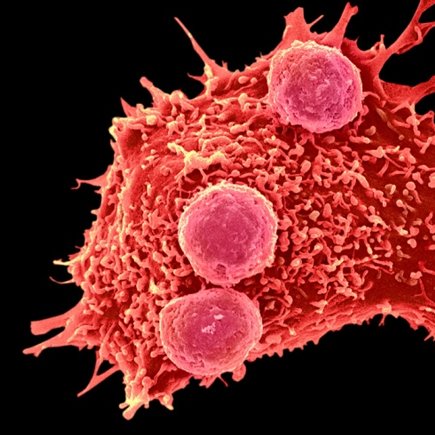 Мел.Science #5. Всё самое важное о науке и космосе за неделю