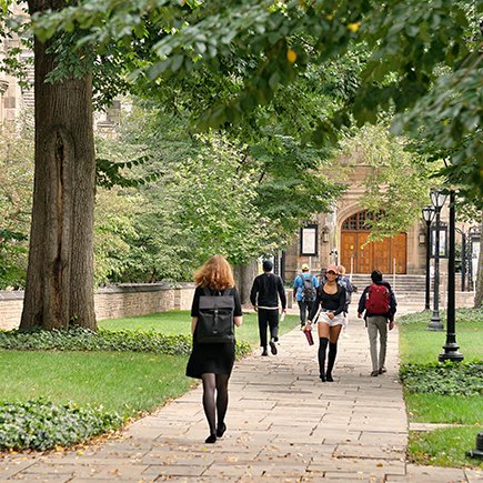 6 классных YouTube-каналов, которые ведут студенты из Гарварда, Оксфорда и Кембриджа