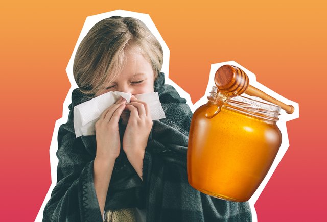 Мёд не помогает при простуде, а кофе помогает избежать цирроза: 15 мифов о любимых продуктах