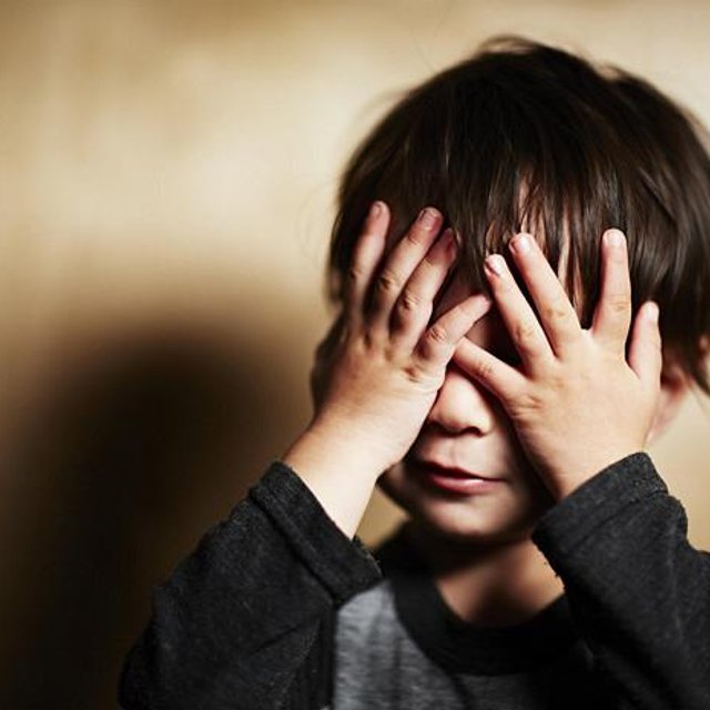 В Самарской области стая бродячих собак напала на детей на площадке