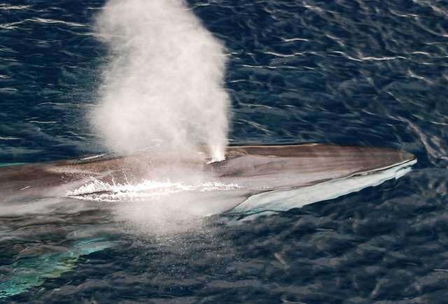 Как бабушке поговорить с внуком о поллюциях?