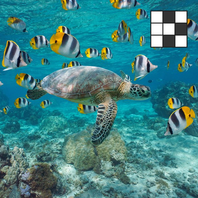 Океан тихий, мирный или глубокий? Кроссворд, с которым легко справится шестиклассник