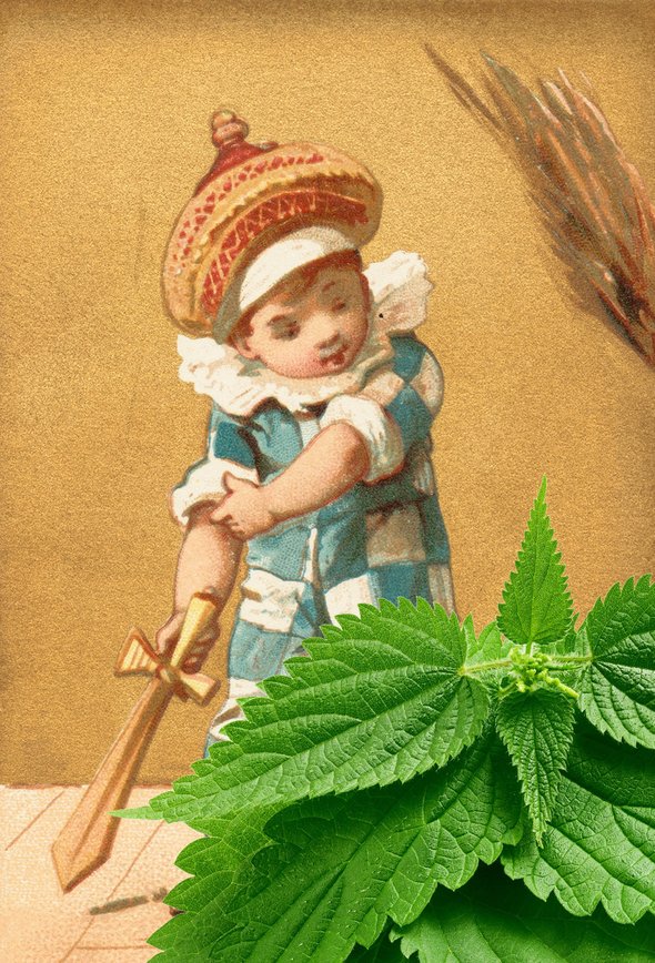 Битва с крапивой, игры, дети, жизнь без Роблокс, Roblox