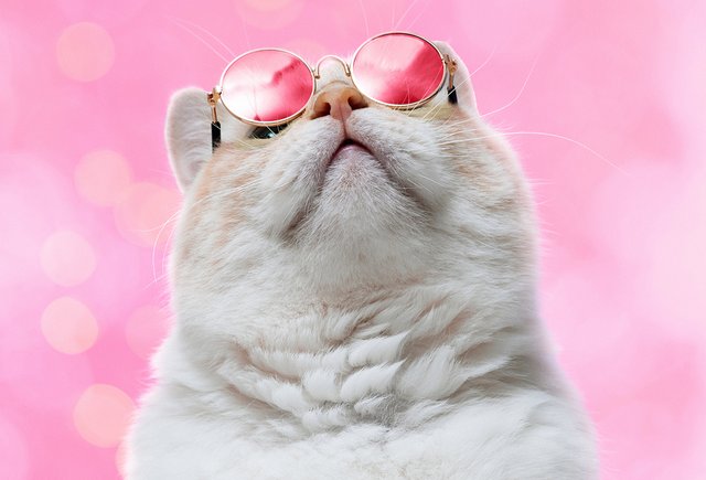 Как и зачем смотреть на себя без розовых очков: неприятно в моменте, но очень полезно