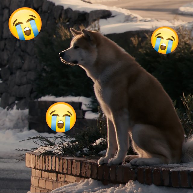 Вы рыдали над «Хатико»? Тест: может ли фильм или мультик заставить вас плакать