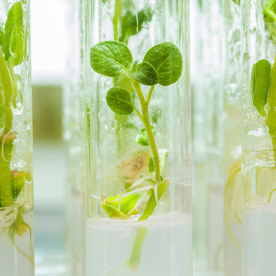 5 мастер-классов
по биологии