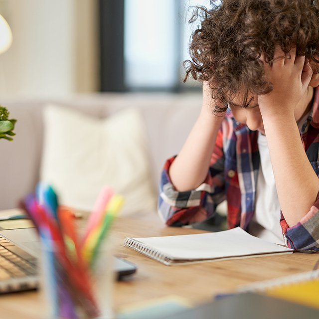 «Решили, что птицеводство». Вся правда о ВПР по окружайке в четвёртом классе