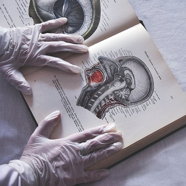 «Студенты сдают иностранные тесты и уезжают из страны»