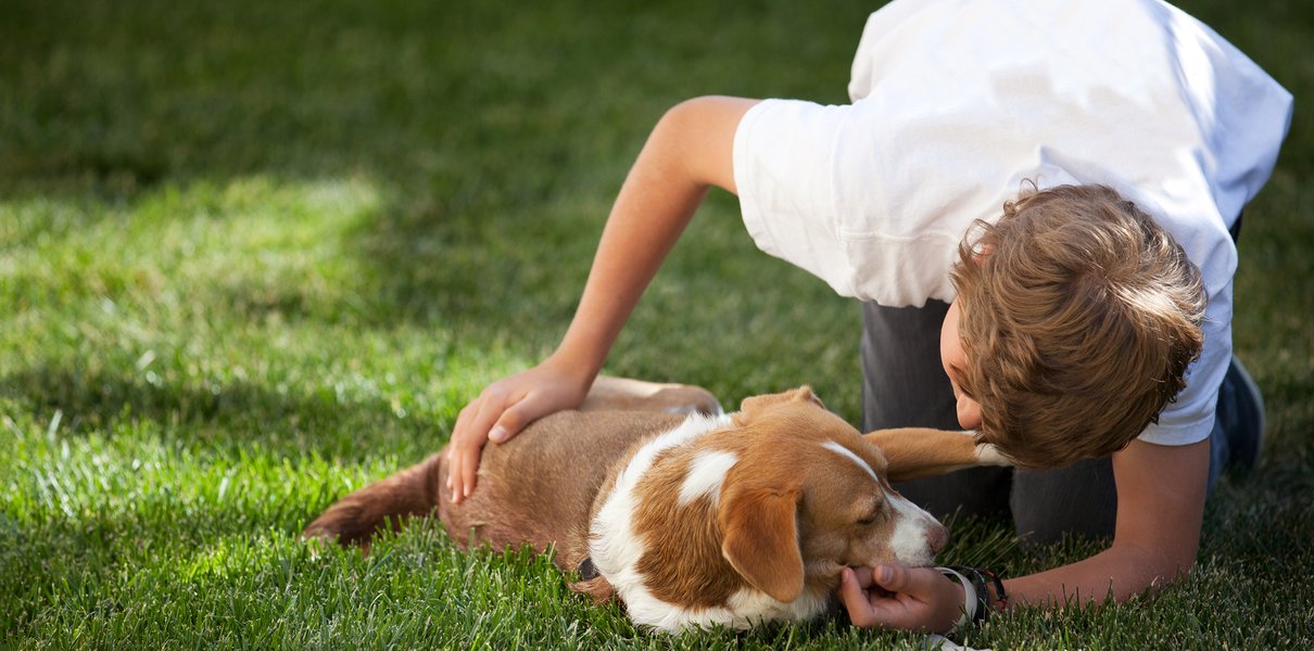 Ребёнок просит домашнее животное. Как обговорить с ним ответственность за питомца?