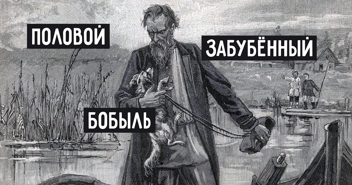 Муму человечность