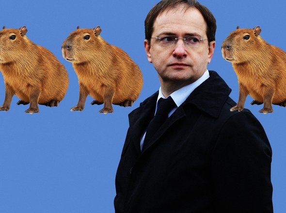 Капибара — это кто? А приколич? Тест: сможете ли вы отличить реальных животных от сказочных