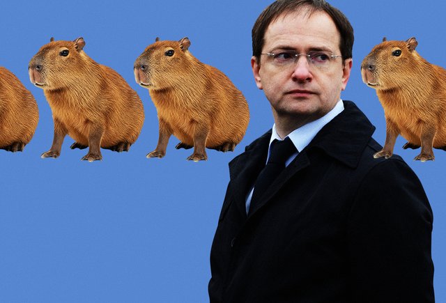 Капибара — это кто? А приколич? Тест: сможете ли вы отличить реальных животных от сказочных