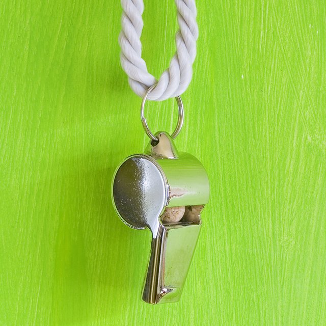 Может ли директор спортшколы работать в ней же тренером?