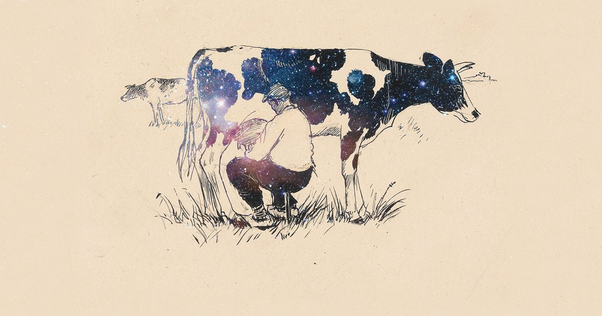 Коллега няни — нянь, а доярки — дояр? Тест: как называть мужчин — представителей «женских» профессий