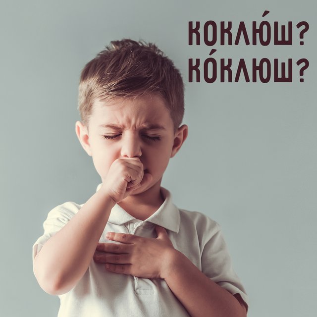 «Коклю́ш» или «ко́клюш»: где ударение в этом слове (ответ неожиданный)