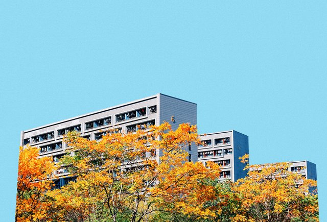 10 советов, которые помогут выжить в общежитии. Студентам — от выпускников